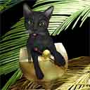 black cat art and wine cats, black cat pop art prints, cat paintings, pet portraits and wine pet prints in colorful original black cat art and fine art cat prints by artist Jane Billman and Gregg Billman