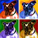 four your love pup art, jack russell pop art dog prints, jack russell abstract paintings, pet portraits and dog prints in colorful original dog art and fine art dog prints by artists Jane Billman and Gregg Billman