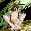 boxer dog art and martini dogs, boxer dog pop art prints, dog paintings, dog portraits and martini pet portraits in colorful original boxer dog art and fine art dog prints by artists Jane Billman and Gregg Billman