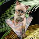 siamese cat art and martini cats, siamese cat pop art, cat paintings, party cats and martini pet portraits in colorful original siamese cat art and fine art cat prints by artist Jane Billman and Gregg Billman