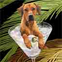 rhodesian ridgeback dog art and martini dogs, rhodesian ridgeback dog pop art, dog paintings, party dogs and martini pet portraits in colorful original rhodesian ridgeback dog art and fine art rottweiler dog prints by artists Jane Billman and Gregg Billman