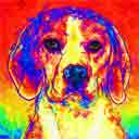 beagle pup art, beagle pop art dog prints, beagle pup art paintings, pup art pet portraits and dog prints in colorful original dog art and fine art dog prints by artists Jane Billman and Gregg Billman