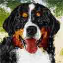 bernese mountain dog with green background art, just one look pop art dog prints, bernese mountain dog paintings, pet portraits and dog prints in colorful original dog art and fine art dog prints by artists Jane Billman and Gregg Billman