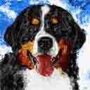 bernese mountain dog with blue background art, just one look pop art dog prints, bernese mountain dog paintings, pet portraits and dog prints in colorful original dog art and fine art dog prints by artists Jane Billman and Gregg Billman