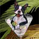 boston terrier art, boston terrier pop art dog prints, boston terrier paintings, pet portraits and dog prints in colorful original dog art and fine art dog prints by artists Jane Billman and Gregg Billman