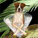 boxer dog art and martini dogs, boxer dog pop art prints, dog paintings, dog portraits and martini pet portraits in colorful original boxer dog art and fine art dog prints by artists Jane Billman and Gregg Billman