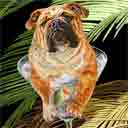 bulldog art, bulldog pop art dog prints, bulldog paintings, pet portraits and dog prints in colorful original dog art and fine art dog prints by artists Jane Billman and Gregg Billman