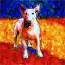 bull terrier art, bull terrier pop art dog prints, bull terrier paintings, pet portraits and dog prints in colorful original dog art and fine art dog prints by artists Jane Billman and Gregg Billman