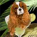 cavalier king charles spaniel dog art and margarita dogs, cavalier king charles spaniel dog pop art prints, dog paintings, dog portraits and margarita pet prints in colorful original dog art and fine art dog prints by artists Jane Billman and Gregg Billman