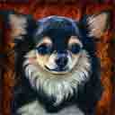 chihuahua longhair just one look dog art and dog headshots, chihuahua longhair dog pop art prints, dog paintings, pet portraits, dog headshots and dog prints in colorful original chihuahua longhair dog art and fine art dog prints by artists Jane Billman and Gregg Billman