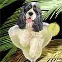 black and white american cocker spaniel parti-color variety dog art and margarita dogs, american cocker spaniel dog pop art prints, dog paintings, dog portraits and margarita pet portraits in colorful original american cocker spaniel dog art and fine art dog prints by artists Jane Billman and Gregg Billman