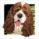 red and white american cocker spaniel parti-color variety dog art and dog headshots, american cocker spaniel dog pop art prints, dog paintings, pet portraits, dog headshots and pet prints in colorful original american cocker spaniel dog art and fine art dog prints by artists Jane Billman and Gregg Billman