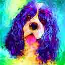 cocker spaniel pup dog art and abstract dogs, abstract cocker spaniel dog pop art pup prints, pup art paintings, pup art portraits and abstract pet portraits in colorful original abstract cocker spaniel dog art and fine pup art dog prints by artists Jane Billman and Gregg Billman