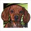 red doxie dog art and dog headshots, doxie dog pop art prints, dog paintings, pet portraits, dog headshots and pet prints in colorful original doxie dog art and fine art dog prints by artists Jane Billman and Gregg Billman