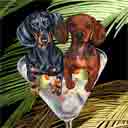 weiner dogs dog art and martini dogs, weiner dogs dog pop art, dog paintings, party dogs and martini pet portraits in colorful original weiner dogs dog art and fine art dog prints by artists Jane Billman and Gregg Billman