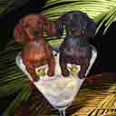 doxies dog art and martini dogs, doxies dog pop art prints, dog paintings, dog portraits and martini pet portraits in colorful original doxies dog art and fine art dog prints by artists Jane Billman and Gregg Billman