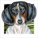 tricolor dachshund dog art and dog headshots, dachshund dog pop art prints, dog paintings, pet portraits, dog headshots and pet prints in colorful original dachshund dog art and fine art dog prints by artists Jane Billman and Gregg Billman
