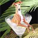 greyhound fawn and white dog art and martini dogs, greyhound dog pop art prints, dog paintings, dog portraits and martini pet portraits in colorful original greyhound dog art and fine art dog prints by artists Jane Billman and Gregg Billman