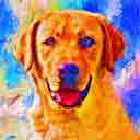labrador retriever pup art dog art and abstract dogs, pup art dog pop art prints, abstract dog paintings, abstract dog portraits, pop art pet portraits and dog gifts in colorful original pop art dog art and fine art dog prints by artists Jane Billman and Gregg Billman