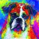boxer pup art dog art and abstract dogs, pup art dog pop art prints, abstract dog paintings, abstract dog portraits, pop art pet portraits and dog gifts in colorful original pop art dog art and fine art dog prints by artists Jane Billman and Gregg Billman