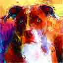 pit bull terrier pup art dog art and abstract dogs, pup art dog pop art prints, abstract dog paintings, abstract dog portraits, pop art pet portraits and dog gifts in colorful original pop art dog art and fine art dog prints by artists Jane Billman and Gregg Billman