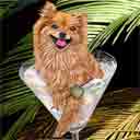 pomeranian art, pomeranian pop art dog prints, pomeranian paintings, pet portraits and dog prints in colorful original dog art and fine art dog prints by artists Jane Billman and Gregg Billman