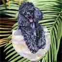poodle dog art and wine dogs, poodle dog pop art, dog paintings, party dogs and wine pet portraits in colorful original poodle dog art and fine art dog prints by artists Jane Billman and Gregg Billman