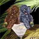 poodles dog art and martini dogs, poodles dog pop art, dog paintings, party dogs and martini pet portraits in colorful original poodles dog art and fine art poodles dog prints by artists Jane Billman and Gregg Billman