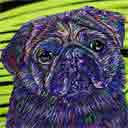 pug pup art dog art and abstract dogs, pup art dog pop art prints, abstract dog paintings, abstract dog portraits, pop art pet portraits and dog gifts in colorful original pop art dog art and fine art dog prints by artists Jane Billman and Gregg Billman