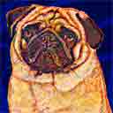 pug dog art and dog headshots, pug dog pop art prints, dog paintings, dog portraits and dog headshots pet prints in colorful original pug dog art and fine art pug dog prints by artists Jane Billman and Gregg Billman