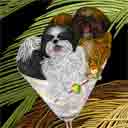 black/white and chocolate shih tzus dog art and martini dogs, shih tzus dog pop art, dog paintings, party dogs and martini pet portraits in colorful original shih tzus dog art and fine art shih tzus dog prints by artist Jane Billman and Gregg Billman