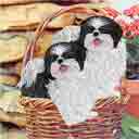 black and white in a basket shih tzus dog art in a basket, shih tzus dog pop art, dog paintings, party dogs and martini pet portraits in colorful original shih tzus dog art and fine art shih tzus dog prints by artist Jane Billman and Gregg Billman