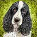 springer spaniels art, just one look pop art dog prints, springer spaniels art, just one look pop art dog prints, pug paintings, pet portraits and dog prints in colorful original dog art and fine art dog prints by artists Jane Billman and Gregg Billman paintings, pet portraits and dog prints in colorful original dog art and fine art dog prints by artists Jane Billman and Gregg Billman