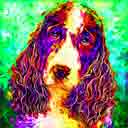 liver and white springer spaniel pup art and dog abstract, springer spaniel dog pop art prints, dog paintings, pet portraits, dog abstract and pet prints in colorful original springer spaniel dog art and fine art dog prints by artists Jane Billman and Gregg Billman
