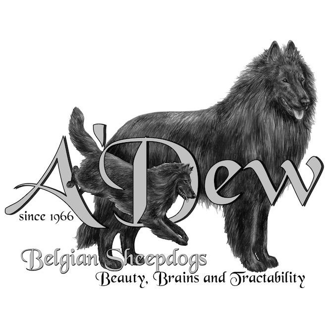 A'Dew Belgian Sheepdogs logo - Style: pencil